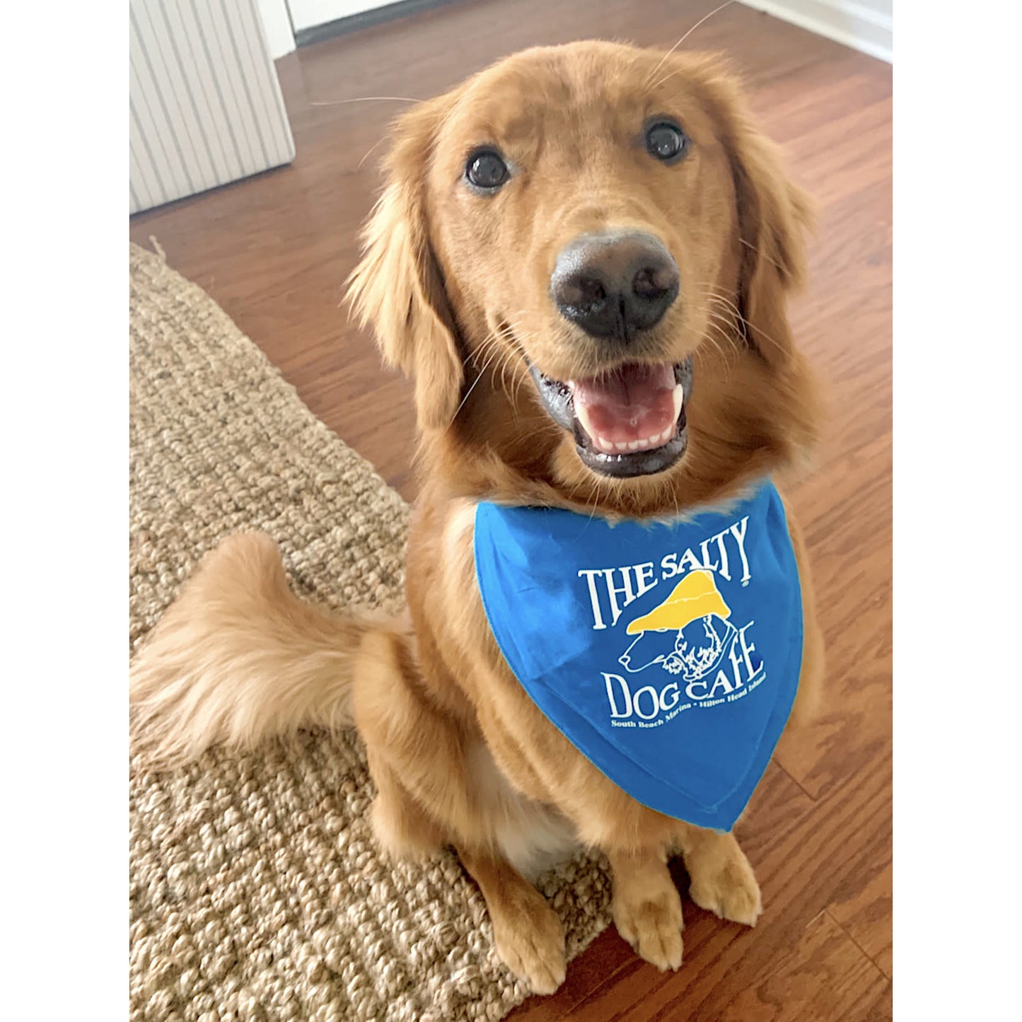 Salty Dog Bandana